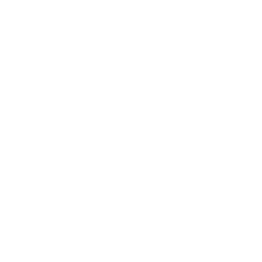 Ministerie van Justitie en Veiligheid